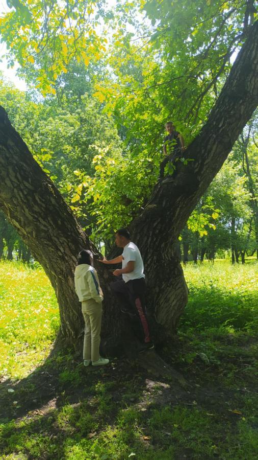 Panorama 호텔 Arslanbob 외부 사진
